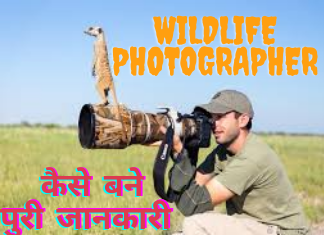 Wildlife Photographer Kaise Bane