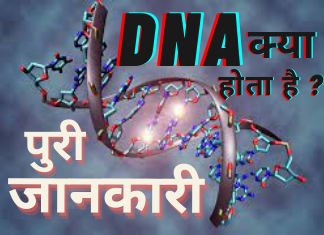 DNA ka Matlab Kya Hota hai