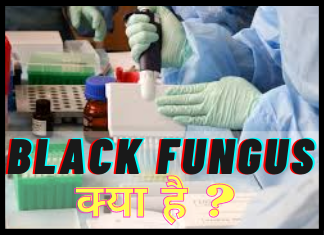 Black Fungus Kya Hai
